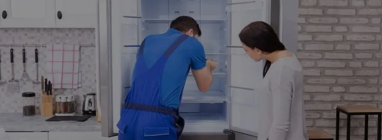 Ремонт холодильников Eagor